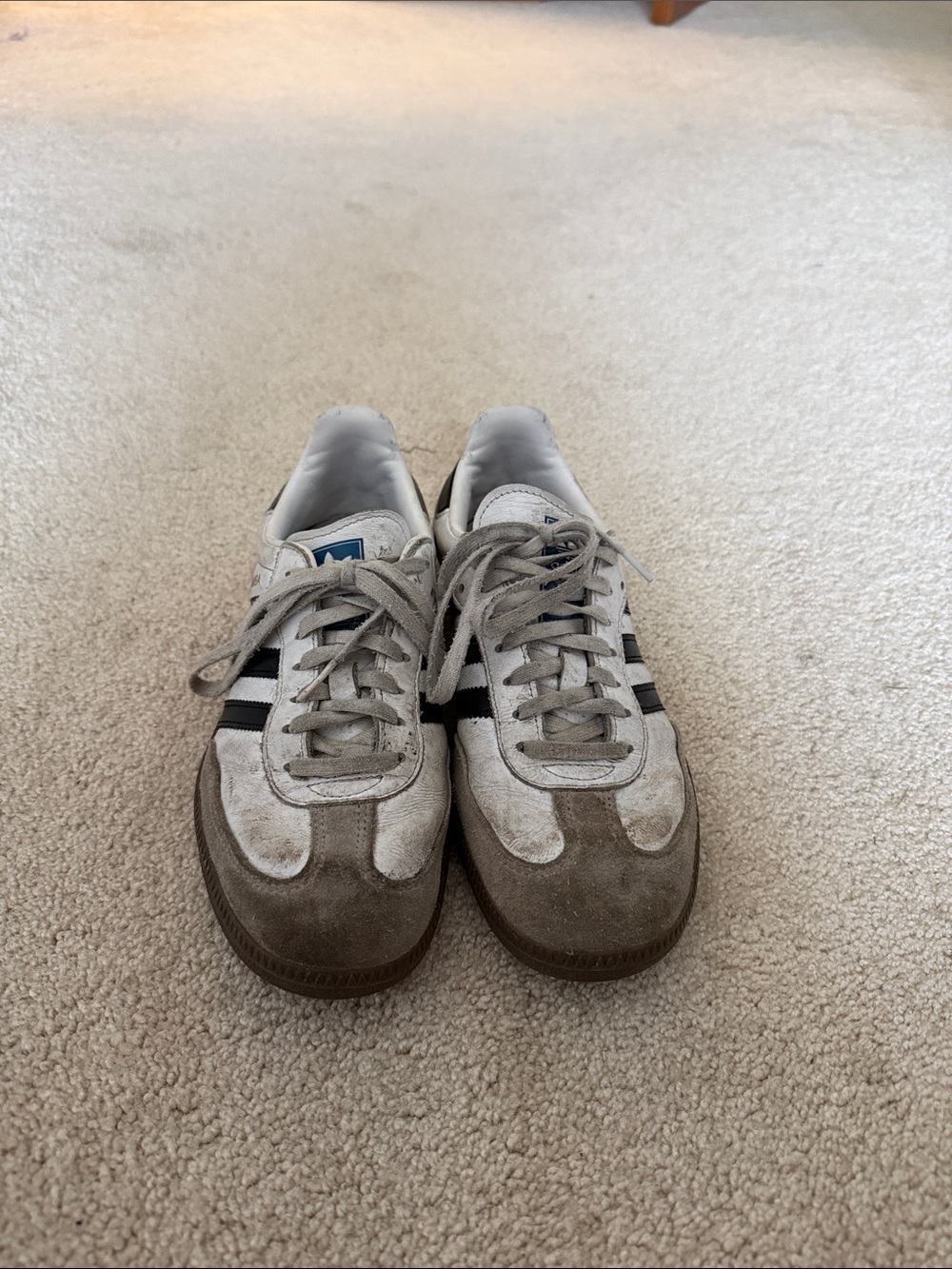 Adidas sambas